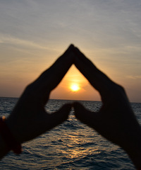 ���Ű���ȥ���С������������Ѹ����꣩