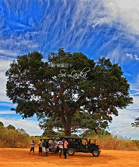 ׷��˹������ ���� ӡ�����һ������