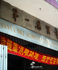 ������һ���ʱ��---�����������е�����