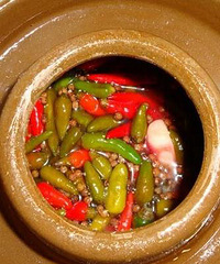 自己动手做泡菜 转自天涯论坛
