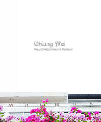 ֮[]˾5000ԪȡPAI 9Σֹԣ