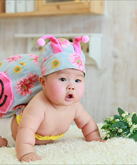 ���۶�ɹ����Ƭ