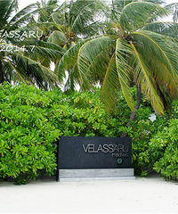 兜兜转转,圆梦马尔代夫---我们的VELASSARU
