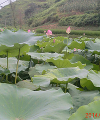 �山�������Ķ�ɻ�����