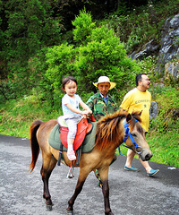 仙女山夏日避暑景点小攻略,一些冷门适合亲子游的好地方