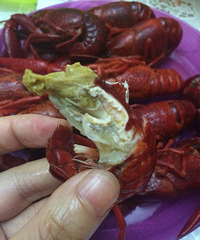 深夜 宜家小龙虾来敲门