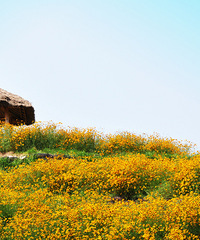 ��2014�����컨�Ⱦ�ѡͼ��I��