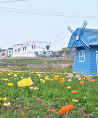 ��2014�����컨�Ⱦ�ѡͼ��IV��