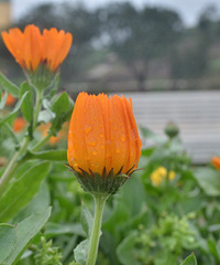 ��2014�����컨�Ⱦ�ѡͼ��VII��