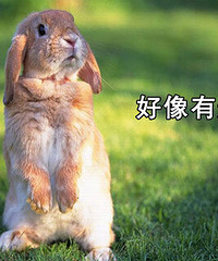 都来聊一聊朋友圈代购、代理,他们是被洗脑了吗?