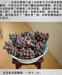 葡萄酒,你完全可以自己酿造