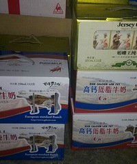 ��ſ���������