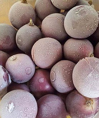 һĳԷʷȫ棡һҹ֮Ȧˣ