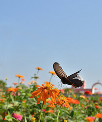 ��2014�＾�����컨�Ⱦ�ѡͼ����