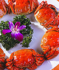 ��з�ؿ�����������������е��з���ڰ�