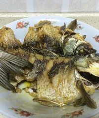 【小厨房,大快乐】:の啤酒鲫鱼の—— 【秀国庆菜品】