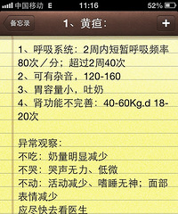 去产检却被紧急收监,国庆弟弟来啦【枫叶儿童之家-地球我来了】