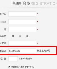 三岁宝宝的妈咪,一步步教你如何海淘新西兰