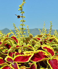 ��2014�＾�����컨�Ⱦ�ѡͼ��2��