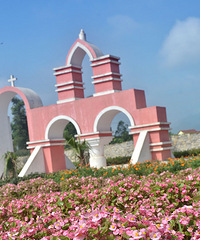 ��2014�＾�����컨�Ⱦ�ѡͼ��1��