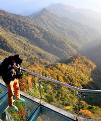 城岚路、南宫山自驾赏秋色,周末看红叶彩林的好去处!