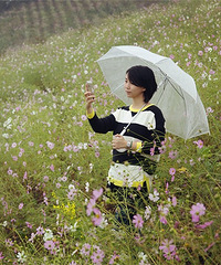 各种半日游——巴南天坪山格桑花花海--约克郡草坪