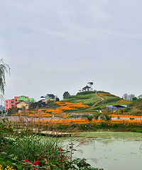 ��2014�＾�����컨�Ⱦ�ѡͼ��3��