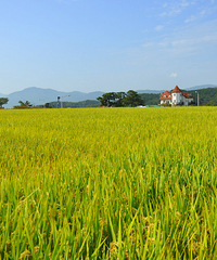 2014黄金周出游分享—釜山庆州首尔江原道,从南到北暴走韩国