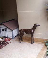 ������ÿ��̻�������148������260ƽ��ŷʽ��װ����䣬���Ҿ�