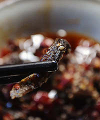 ���ùھ�ţ��~ζ����ȷ����~�Ի�����