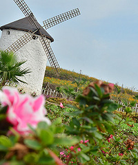 2014�����컨�ȶ�����ͼ����