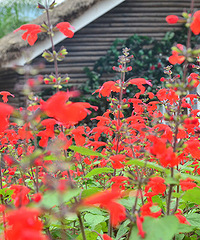 2014�����컨�ȶ�����ͼ����