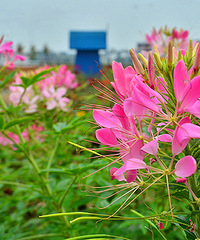 2014�����컨�ȶ�����ͼ����