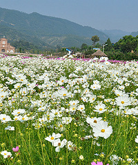 2014�����컨�ȶ�����ͼ����