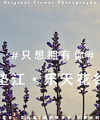 2014�����컨�ȶ�����ͼ����