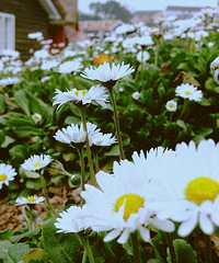 2014�����컨���＾��ͼ����