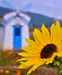 2014�����컨�ȶ�����ͼ����