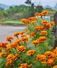 2014�����컨�ȶ�����ͼ����