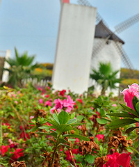 2014�����컨�ȶ�����ͼ����