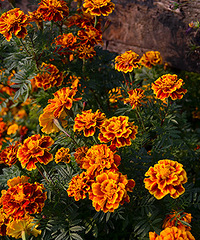 2014�����컨�ȶ�����ͼ����