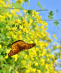 2014�����컨�ȶ�����ͼ����