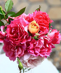 ����̨���¼��ﻨ��