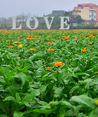 2014�����컨�ȶ�����ͼ����