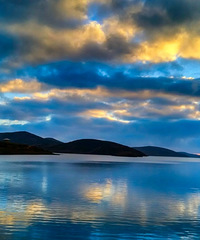 �����ɽ����������ź� �Լ�������