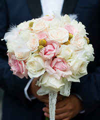 ΢�ֽ���������ֽ���ӵ�wedding