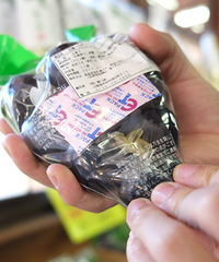 日本本州6日游记录帖,词穷多图(满满的杯具在里头)