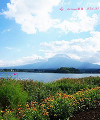 ձ11-Ʒã𱱺̨磬Ʒ