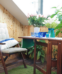 ɹһɹ���Ѽҵ�����С�ң���ŷ���ȴ��ɫ������