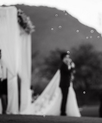 手机情缘-从倾心,到相守【清新草坪婚礼,更新仪式篇】