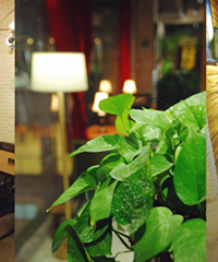 �������������꽻�ѻῪʼ��������